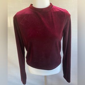 Medium crop velvet top